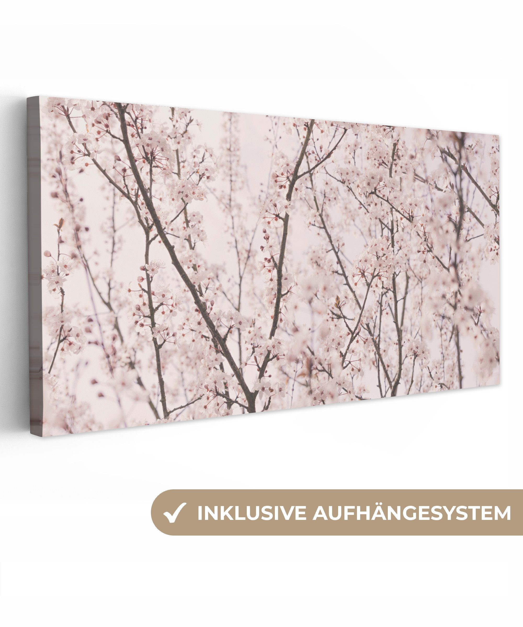 OneMillionCanvasses® Leinwandbild Panorama Blüte - Bäume günstig online kaufen