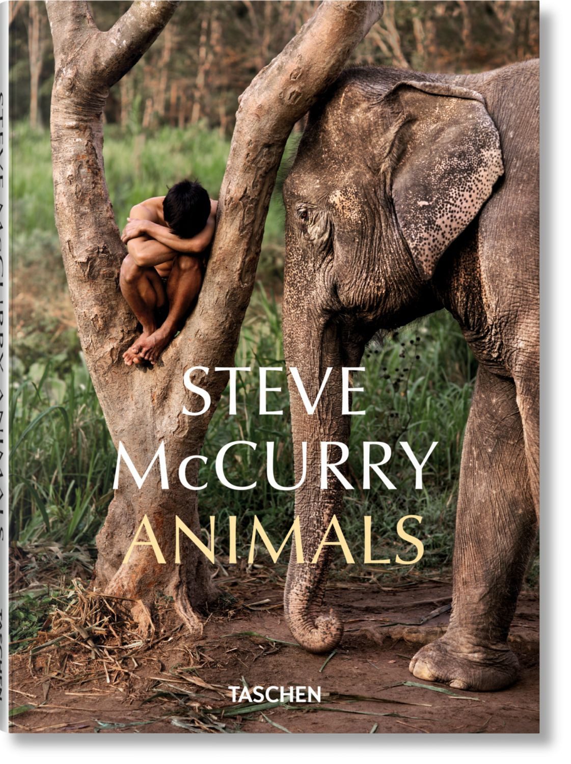 Steve McCurry / Steve Mccurry