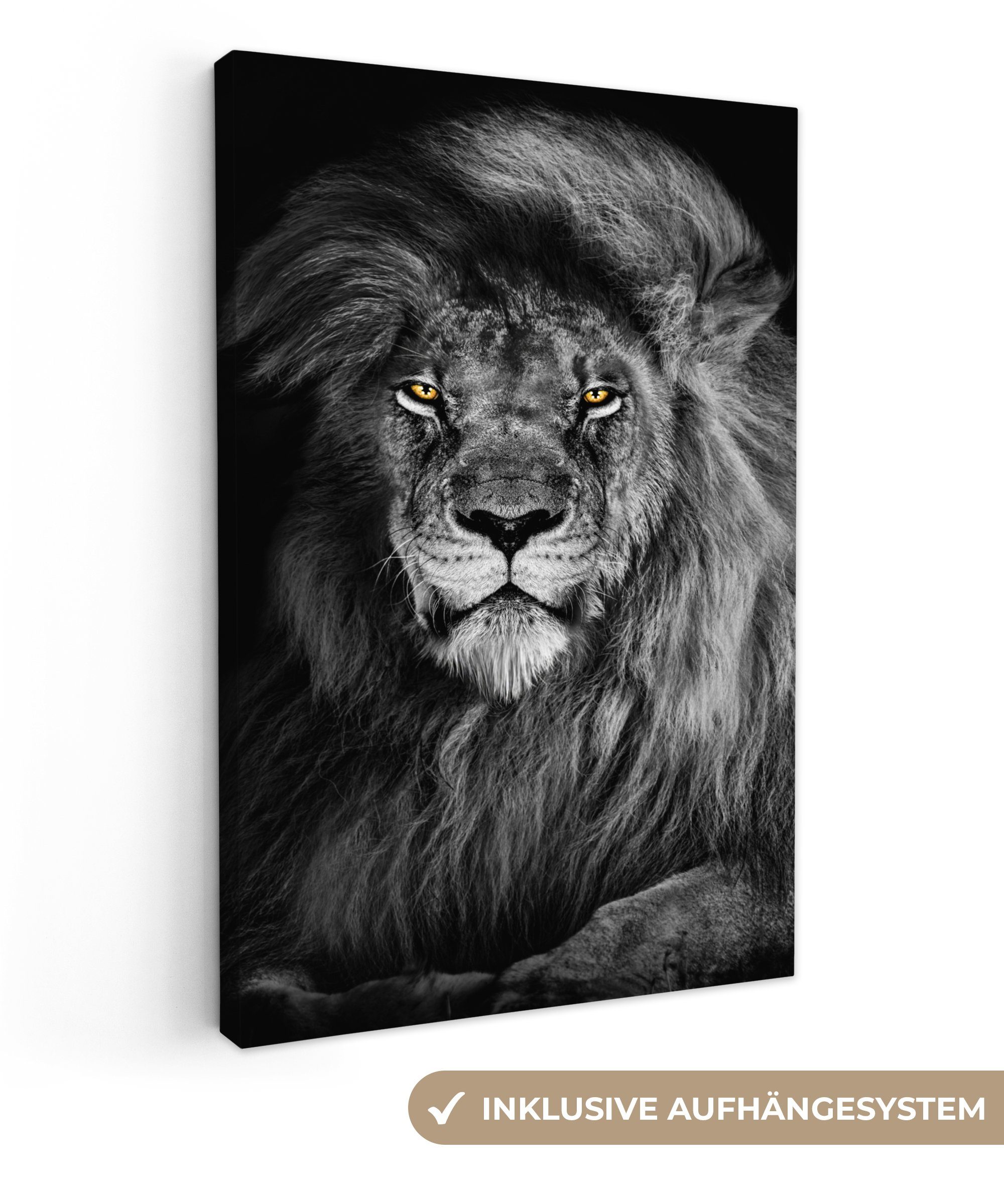 OneMillionCanvasses® Leinwandbild Löwe - Augen - günstig online kaufen
