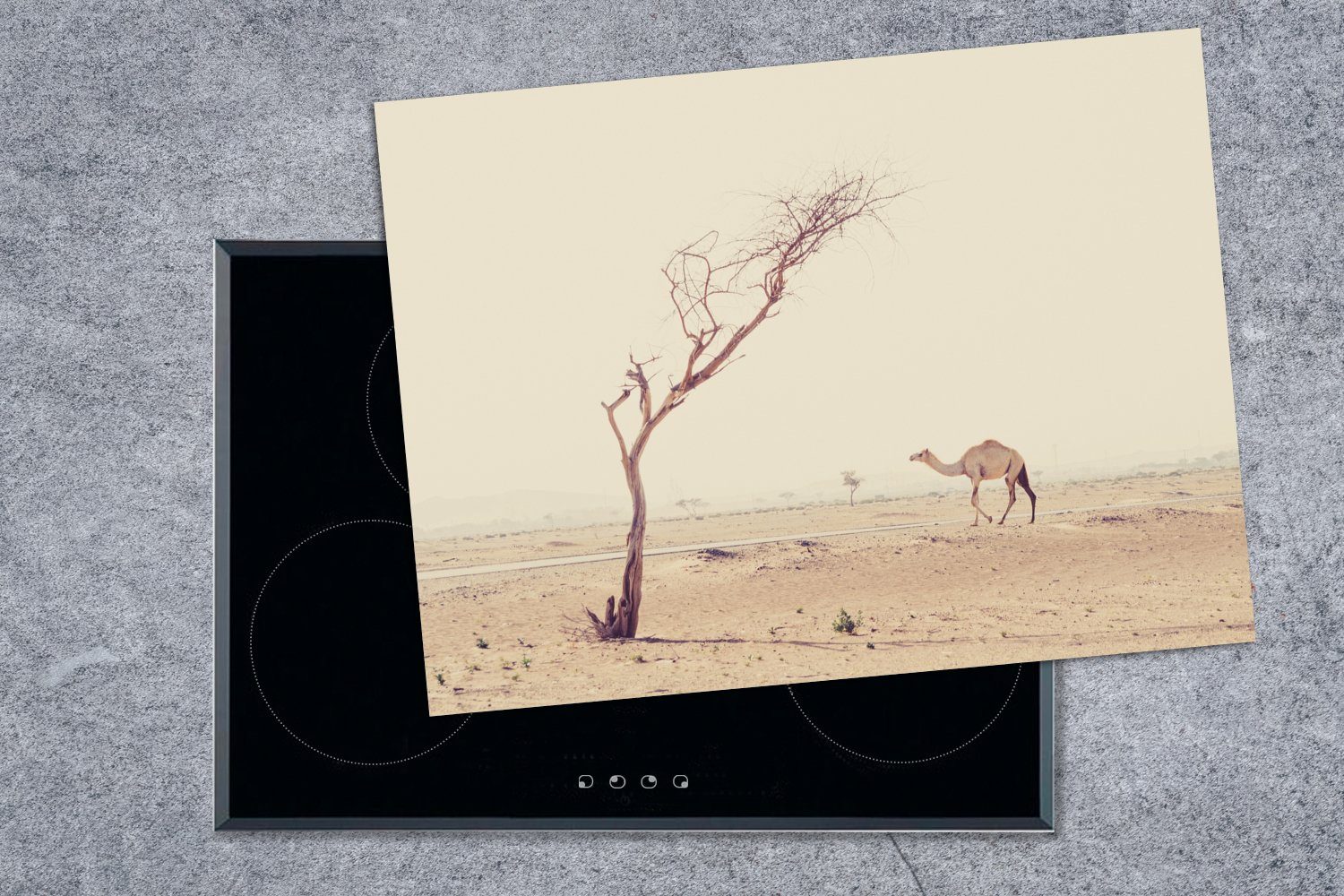 auf in MuchoWow Kamelwanderung Dubai, nutzbar, Herdblende-/Abdeckplatte Arbeitsfläche 70x52 Ceranfeldabdeckung tlg), (1 Wüstenstraße der Mobile Vinyl, cm,