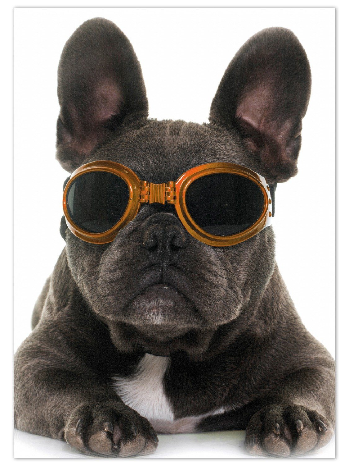 Teppich Cooler Hund mit Sonnenbrille in orange - Französische Bulldogge, Wallario, rechteckig, rutschfest