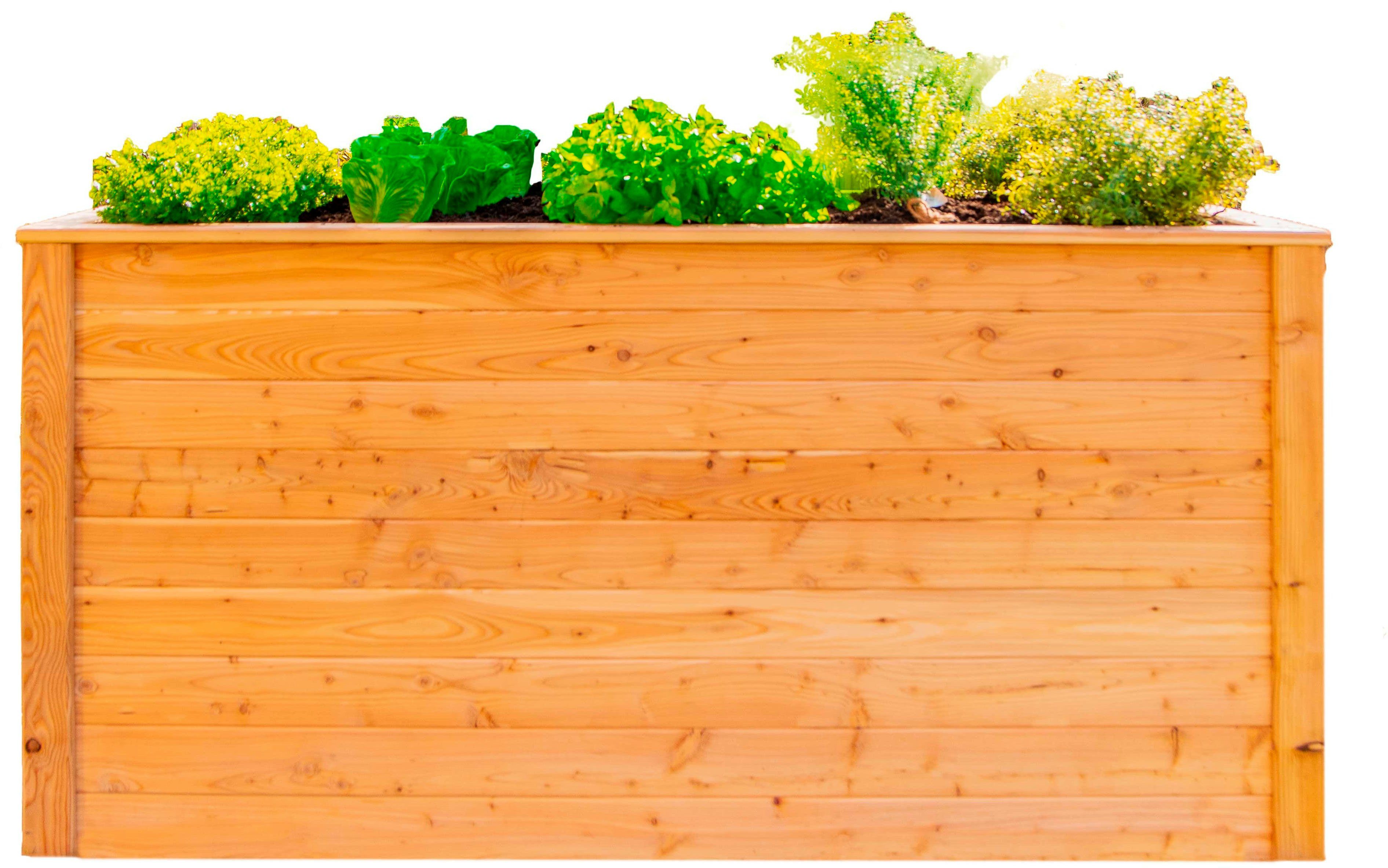 WESTMANN Hochbeet WMHL170, 1100 l, BxTxH: 170x90x84 cm