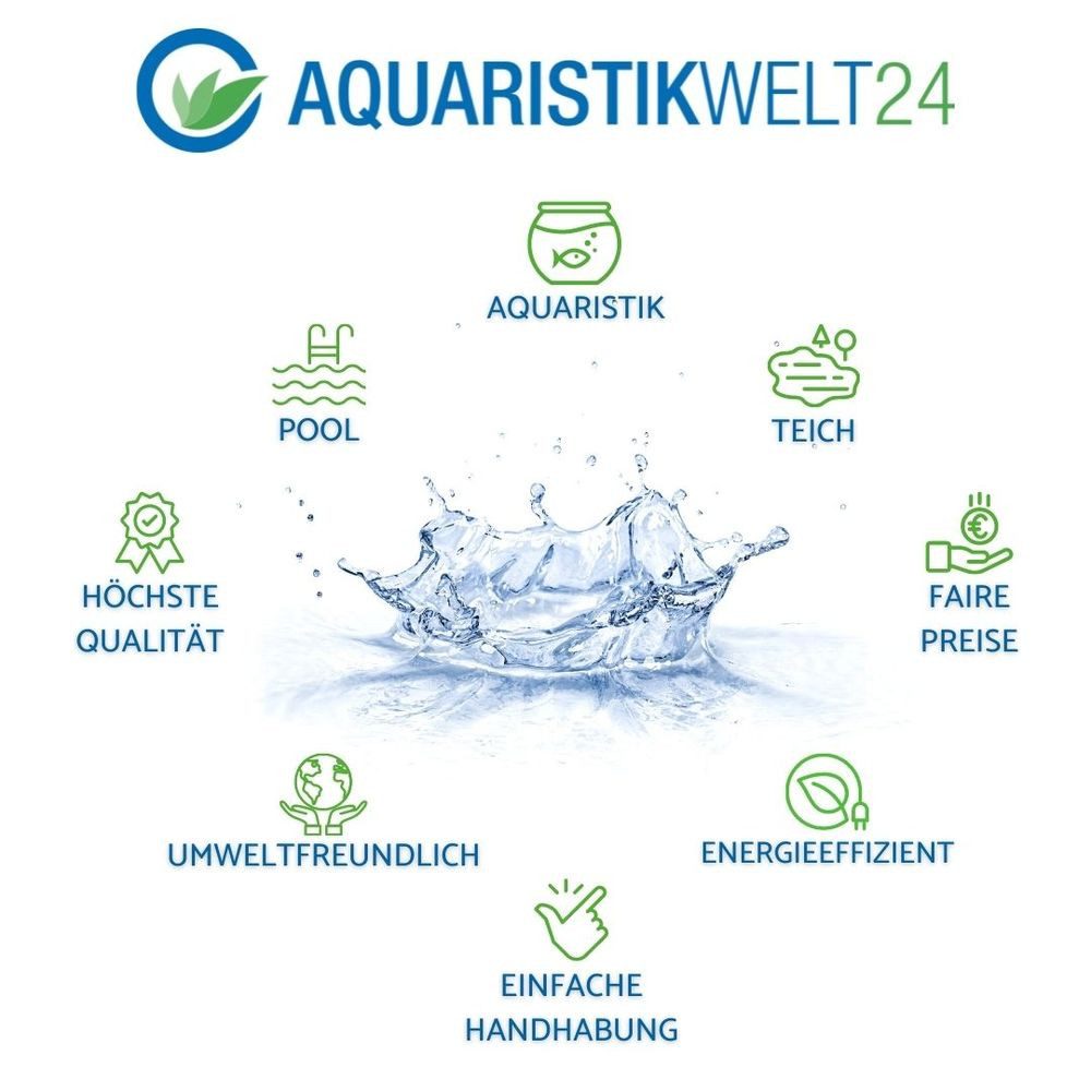Aquaone Wasserpflanze Pflanzen Set mit 3 Cryptocoryne Aquariumpflanzen Set Nr.238 – Bild 5 von 5