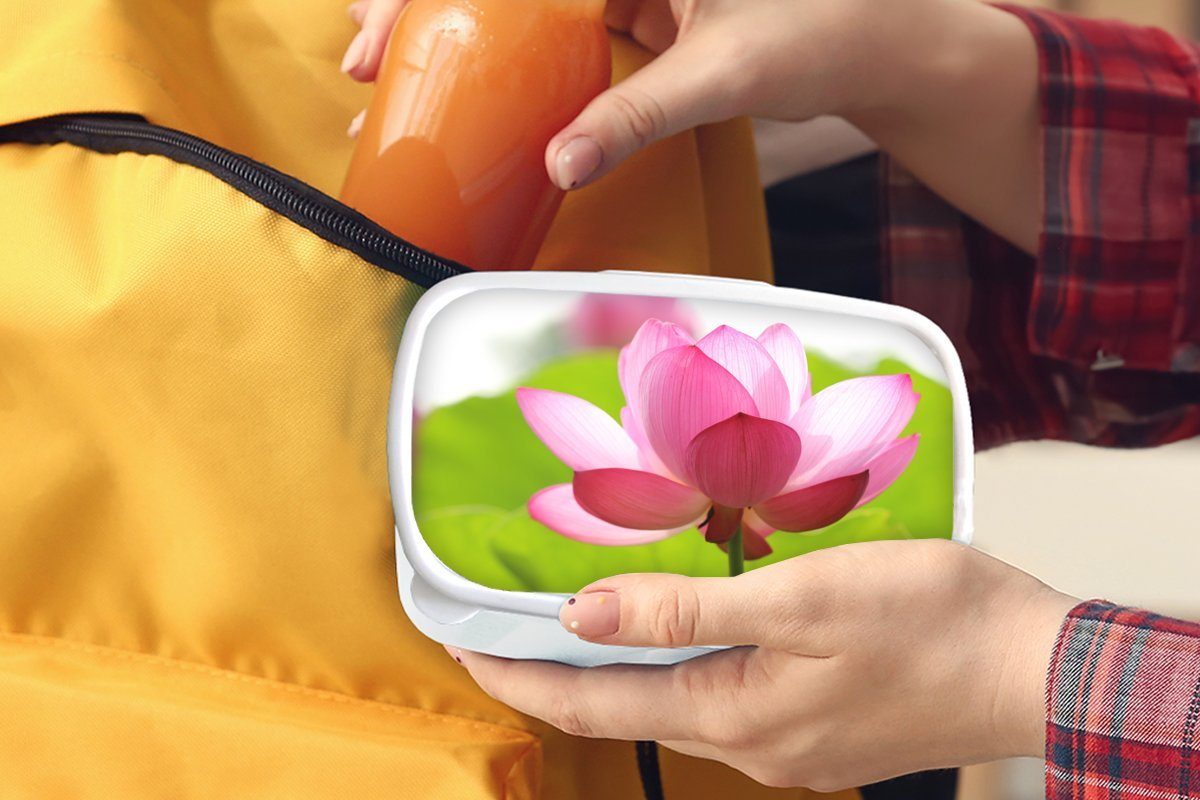 MuchoWow Lunchbox Blumen - Mädchen weiß Erwachsene, Brotbox (2-tlg), für Kunststoff, Rosa, - Jungs und Kinder für Blätter und Brotdose