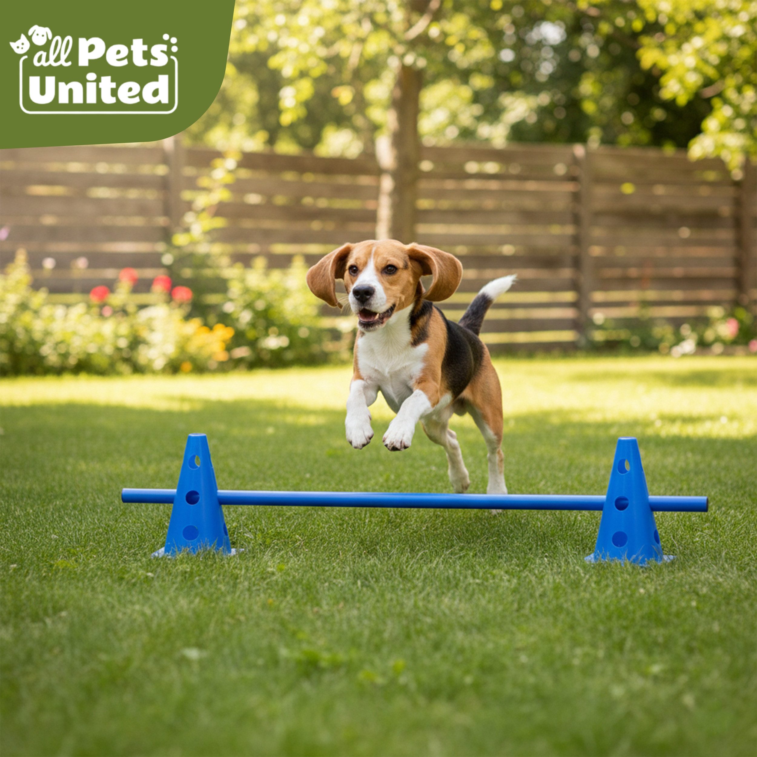 all Pets United Trainingshilfe All Pets United Trainingsset Hund & Kinder, Hunde Sport & Lernhilfe