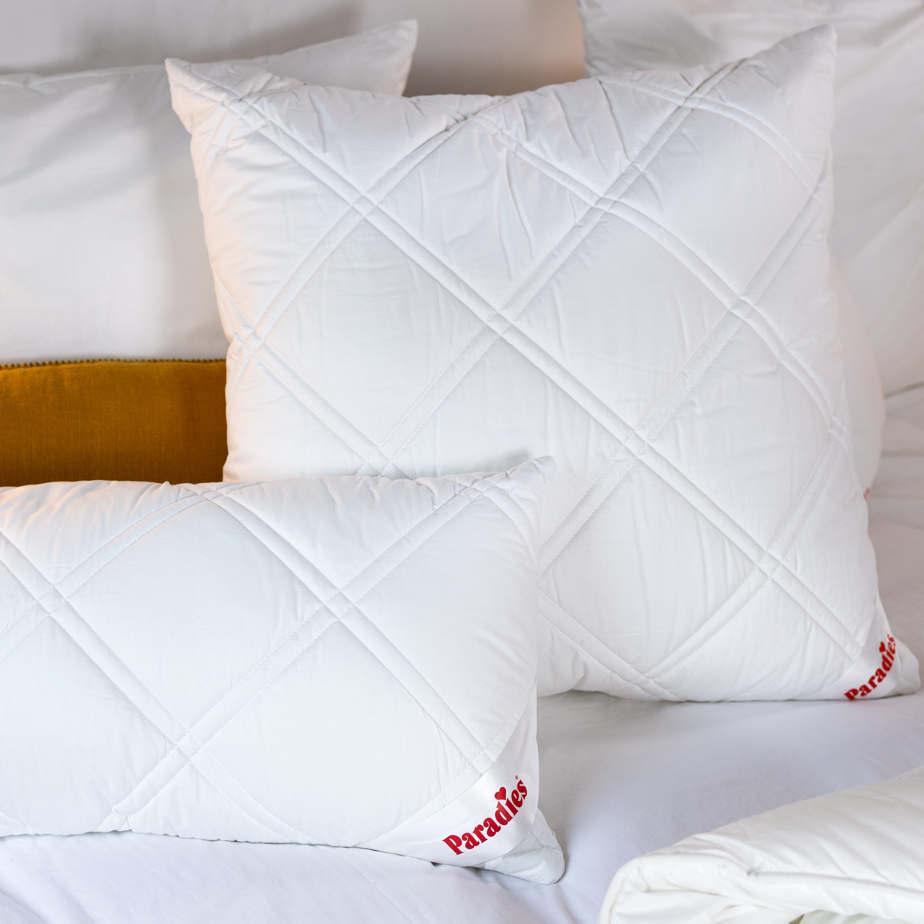 Paradies Kopfkissen Softy Top Plus, Kissen mit versteppter Hülle und Reißverschluss, Füllung: 100% Polyester, Bezug: Baumwolle, Kopfkissen 40 x 80 cm
