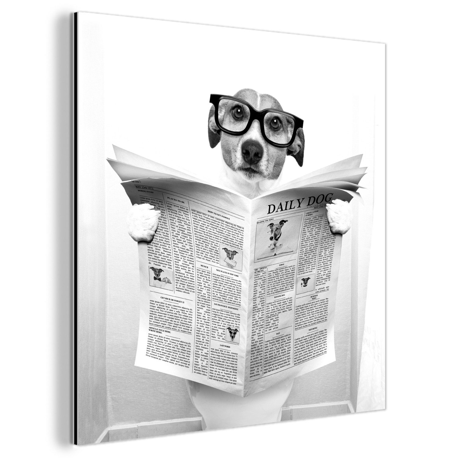 Metallbild Hund - Zeitung - Toilette - Schwarz und weiß - Tiere