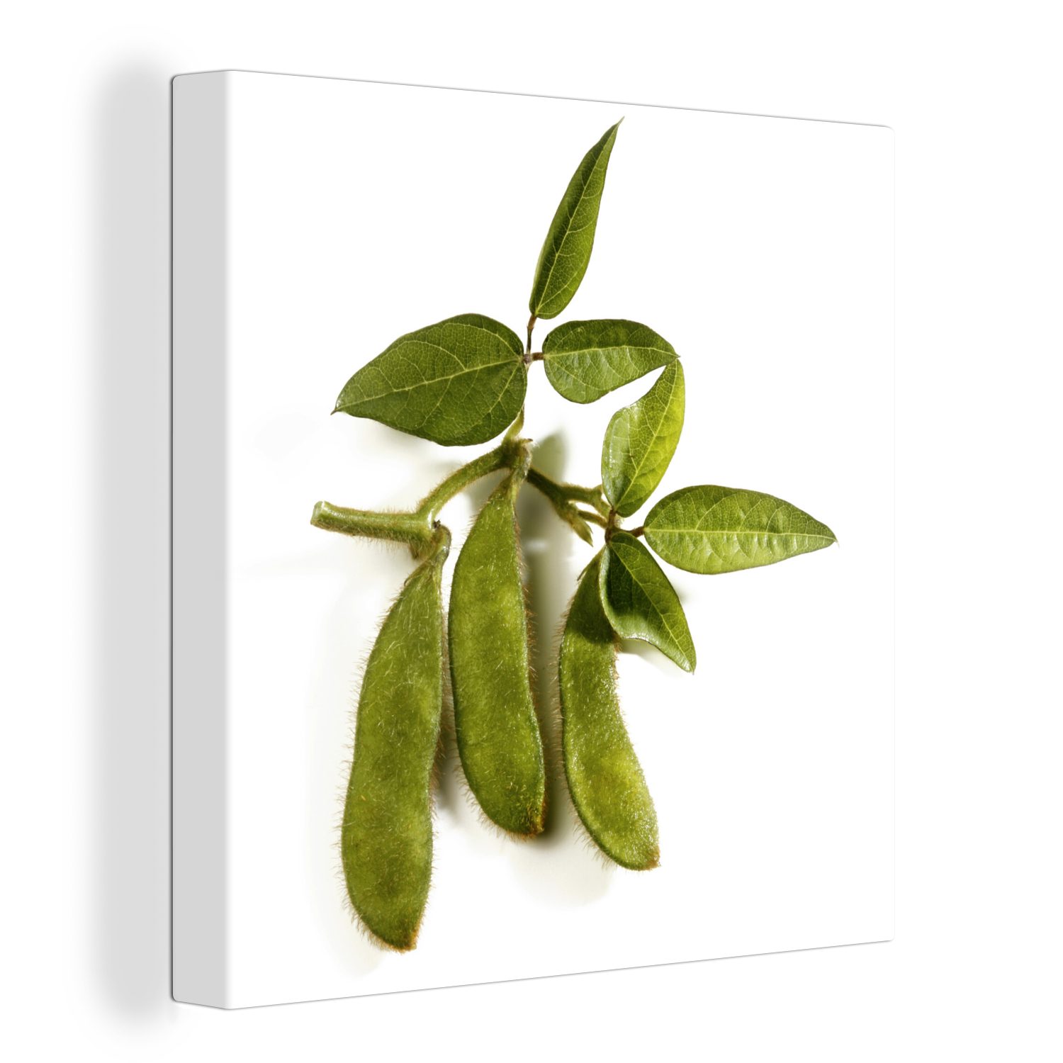 OneMillionCanvasses® Leinwandbild Drei grüne Sojabohnen vor einem weißen Hintergrund, (1 St), Leinwand Bilder für Wohnzimmer Schlafzimmer