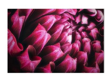 wandmotiv24 Leinwandbild Blume Blüte violett Chrysantheme, Blumen und Pflanzen (1 St), Wandbild, Wanddeko, Leinwandbilder in versch. Größen