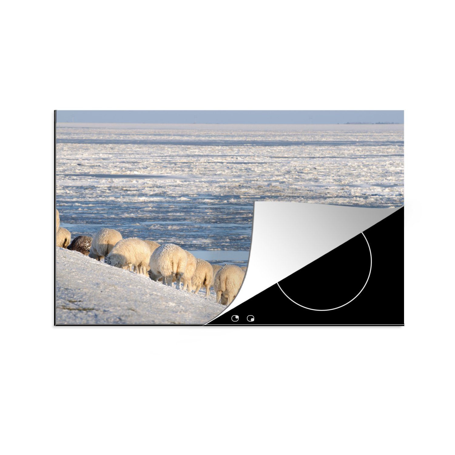 Herdblende-/Abdeckplatte küche, 81x52 Schafe für Ceranfeldabdeckung - cm, Meer, die tlg), Induktionskochfeld Schutz (1 MuchoWow - Watteninseln Vinyl,