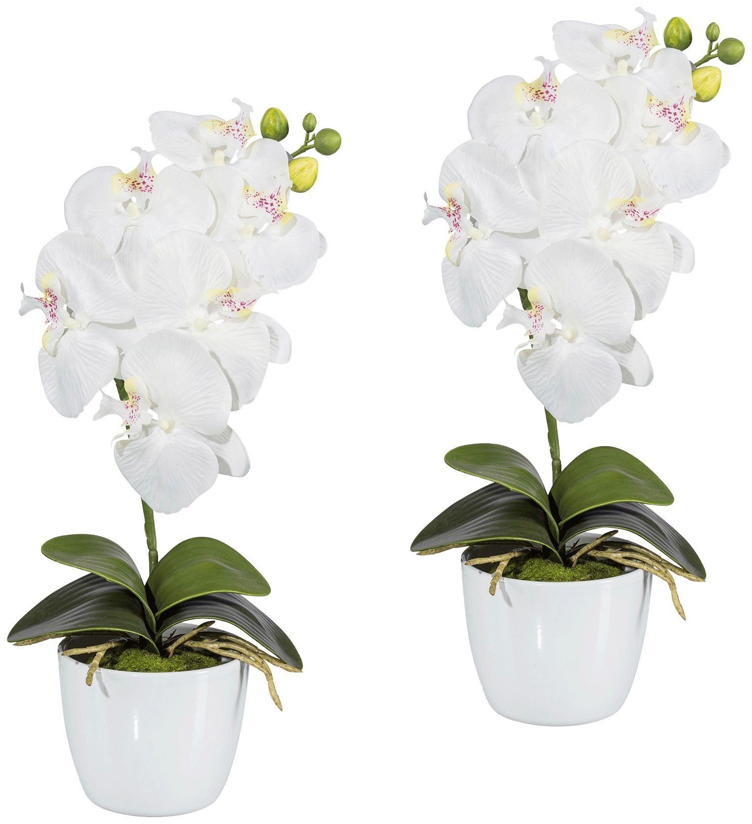 Kunstpflanze Orchidee Phalaenopsis Orchidee, Creativ green, Höhe 40 cm, im Keramiktopf