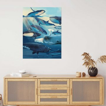 Posterlounge Wandfolie Dieter Braun, Wale, Badezimmer Maritim Digitale Kunst