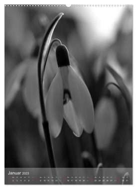 CALVENDO Wandkalender Monochrome Blüten - In Schwarz-Weiß Bildern durch das Jahr (Premium, hochwertiger DIN A2 Wandkalender 2023, Kunstdruck in Hochglanz)