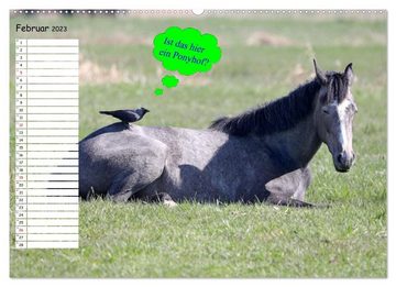 CALVENDO Wandkalender Wenn Tiere Sprechen könnten! Der lustige Sprüche Geburtstagskalender (Premium, hochwertiger DIN A2 Wandkalender 2023, Kunstdruck in Hochglanz)
