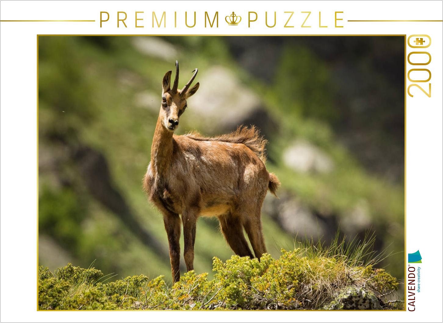 CALVENDO Puzzle CALVENDO Puzzle Chamois, 2000 pieces, finished size 35.4 × 26.4 in (9, 2000 Puzzleteile
