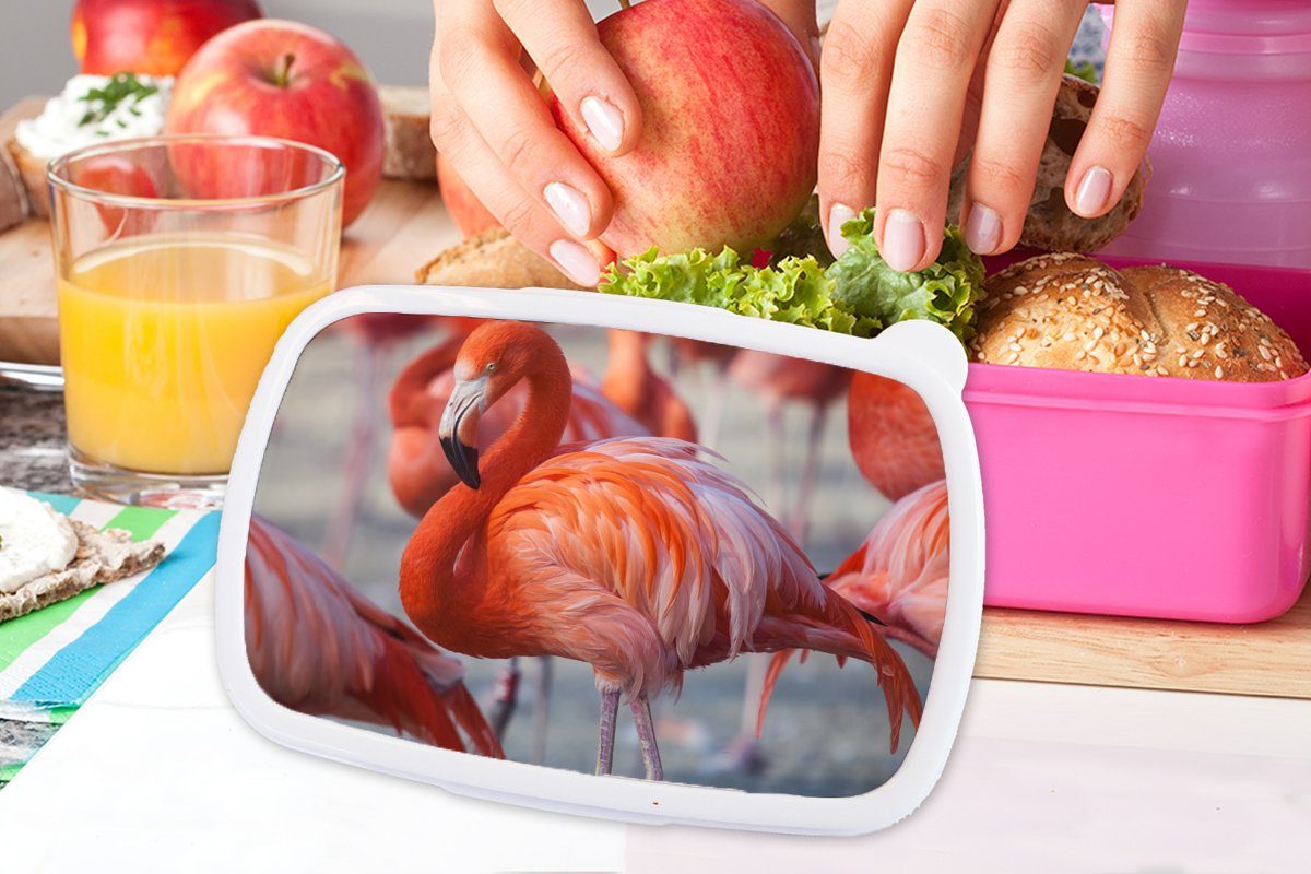 Brotbox Kunststoff, für Tiere - (2-tlg), - Mädchen, Flamingo Lunchbox Erwachsene, MuchoWow - Kunststoff Snackbox, Kinder, Brotdose Rosa, Vogel