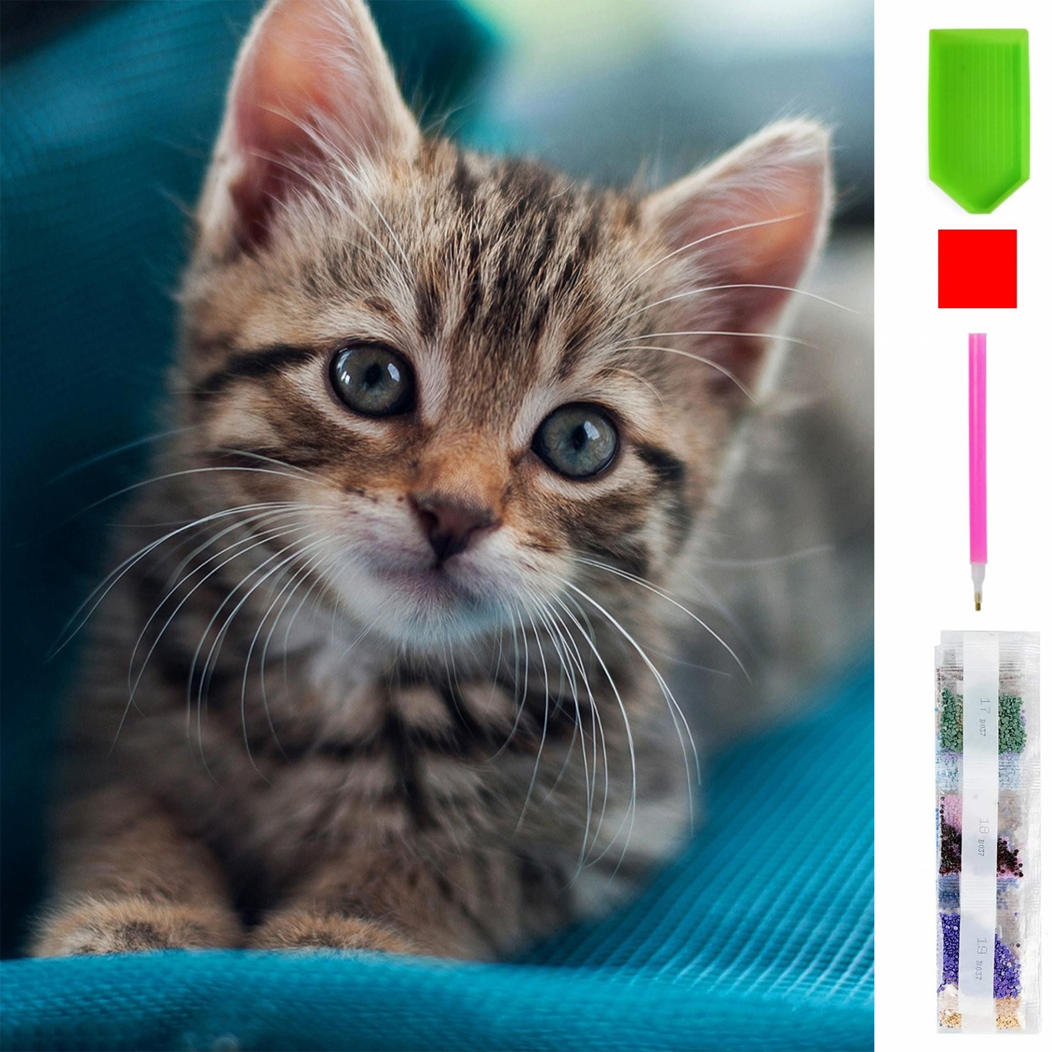 LA CUTE Malen nach Zahlen 5d Diamond Painting Katze Malen nach Zahlen 15x20 günstig online kaufen