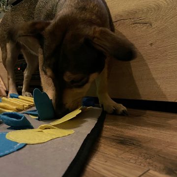 Redfink Tier-Intelligenzspielzeug Schnüffelmatte für Hunde 50x70cm Riechmatte Suchmatte