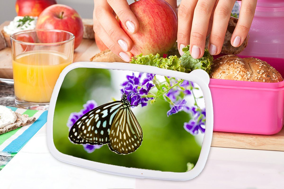 Kinder, Brotbox Brotdose rosa Kunststoff, - Lunchbox für - Botanisch, (2-tlg), Kunststoff Erwachsene, Lavendel Schmetterling MuchoWow Mädchen, Snackbox,