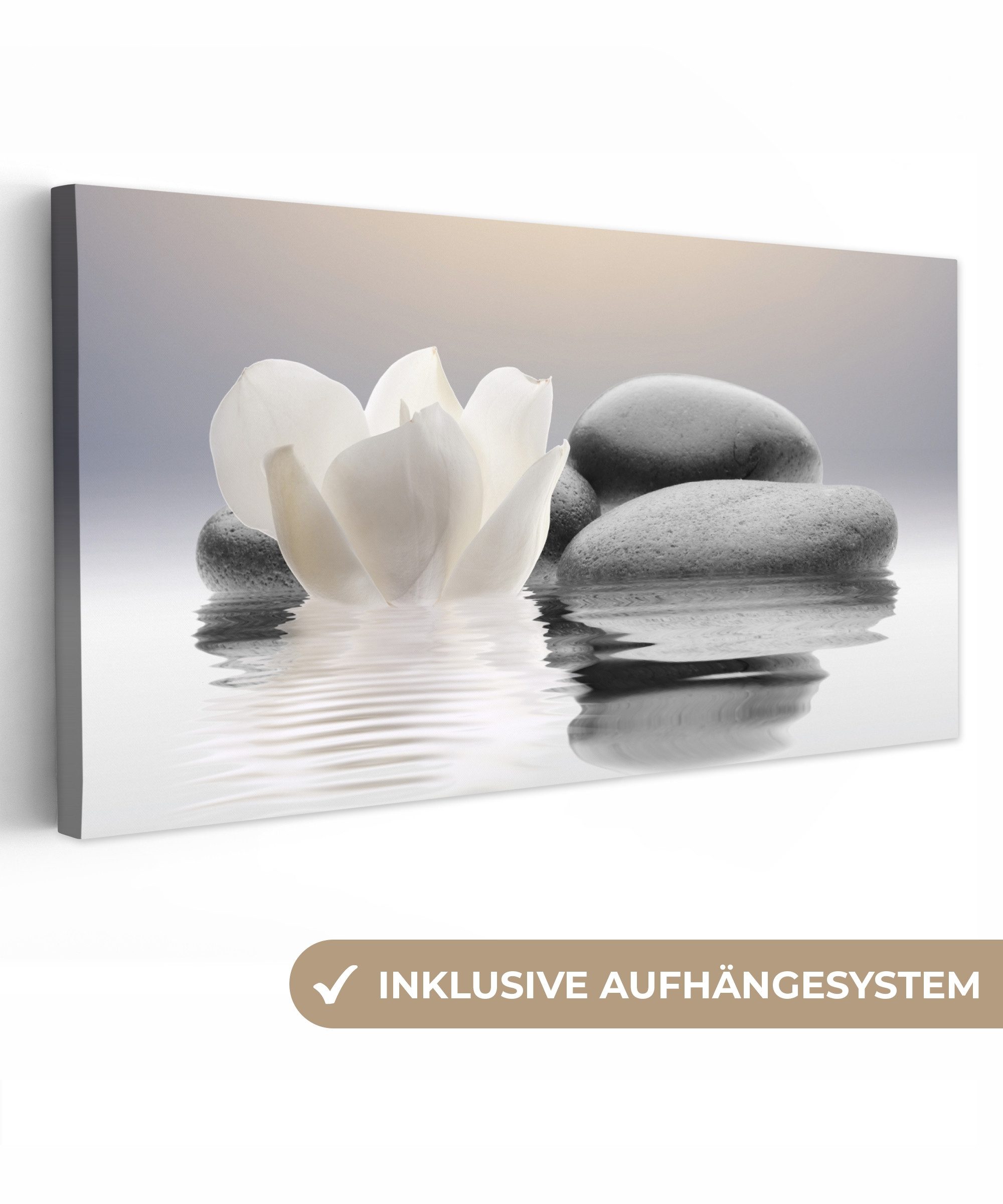 OneMillionCanvasses® Leinwandbild Panorama Steine - Lotus - Weiß - Wasser - günstig online kaufen