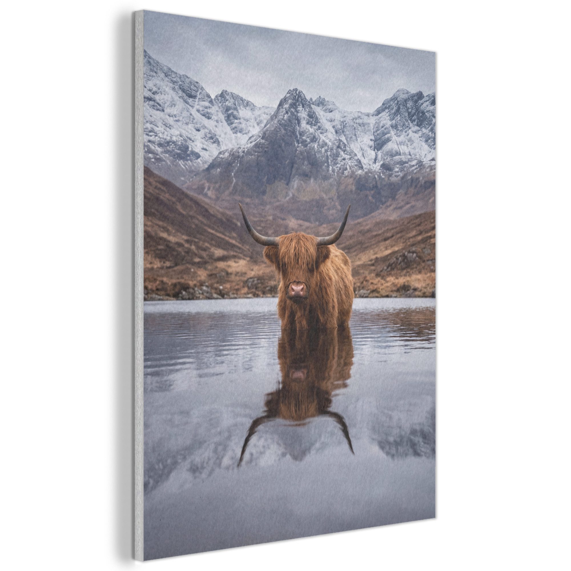 MuchoWow Gemälde Schottischer Hochländer - Braun - Wasser, Fotodruck (1 St), Akustikpaneele, Wandpaneele, Schalldämmung, Akustikbilder 30x40 cm