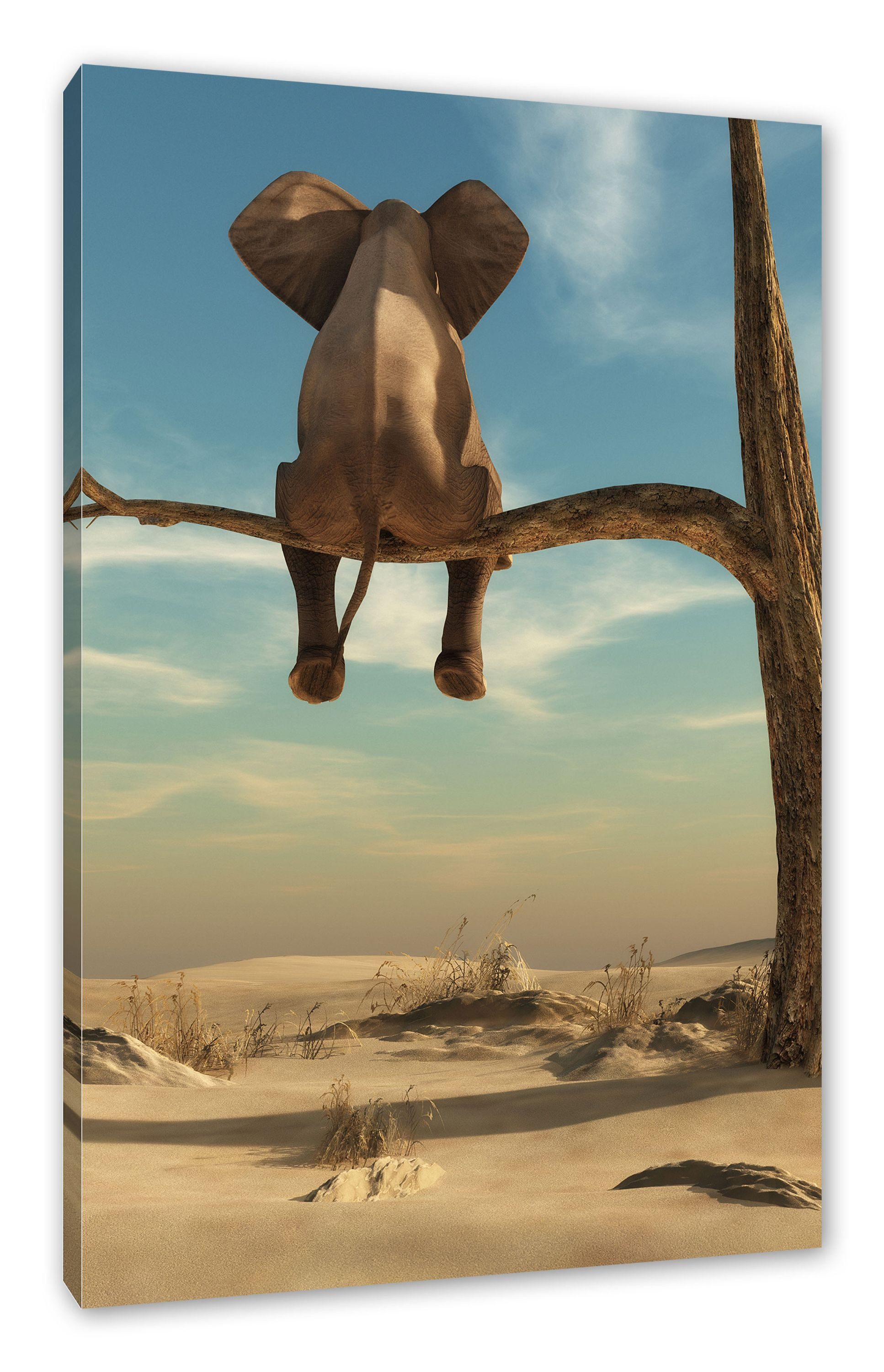 Pixxprint Leinwandbild Elefant auf einem Ast in der Wüste, Elefant auf einem Ast in der Wüste (1 St), Leinwandbild fertig bespannt, inkl. Zackenaufhänger
