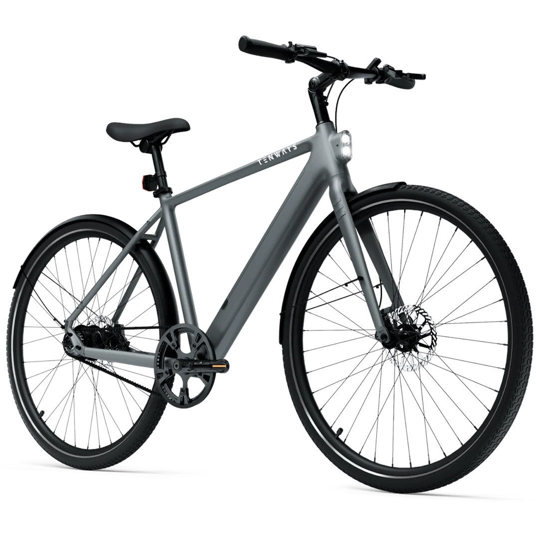 Tenways E-Bike Tenways CGO600 Pro 360 Wh Herren grau 2026, 1 Gang, ohne Schaltung, Mivice M070, 360 Wh