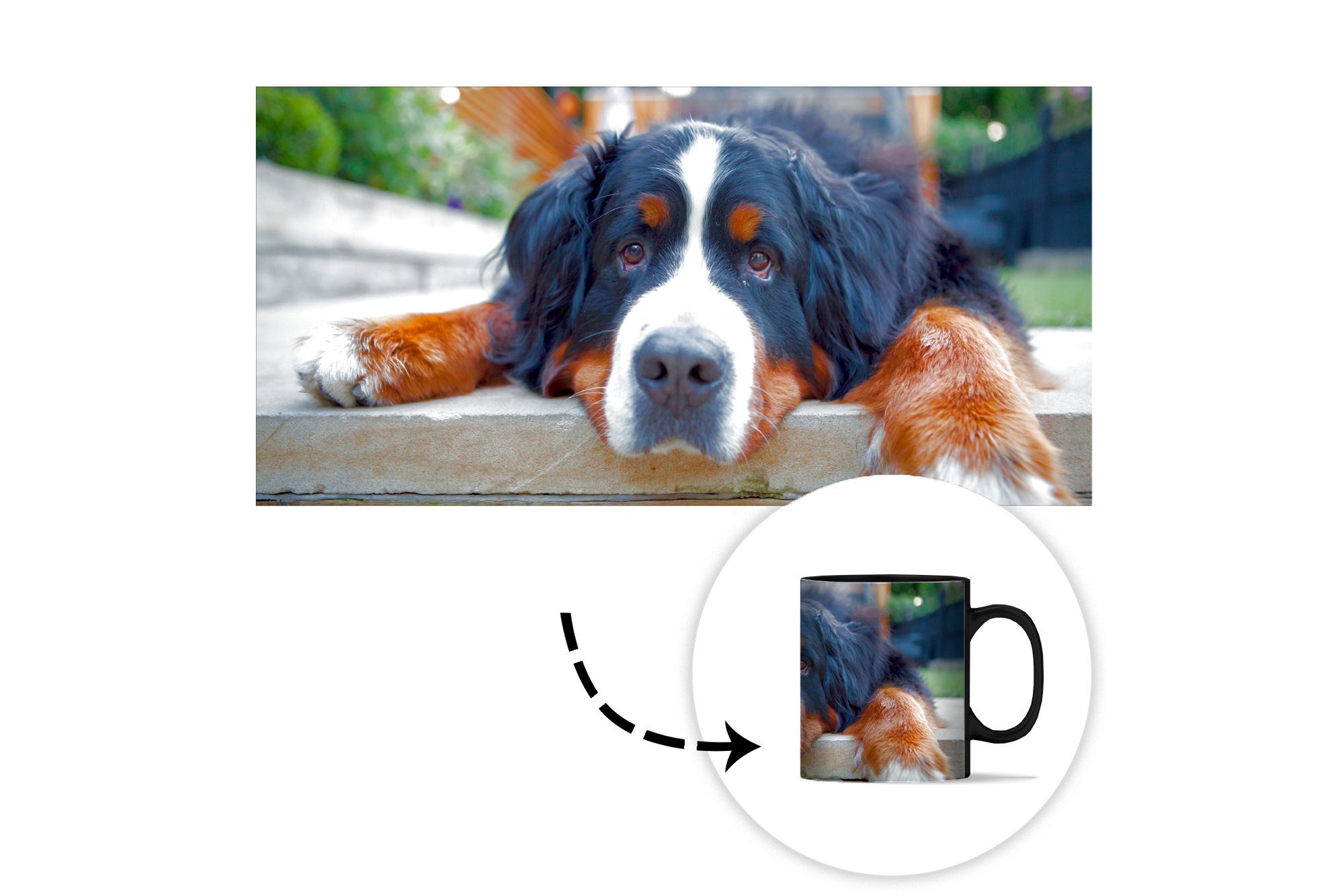 MuchoWow Tasse Shady Berner Sennenhund, Teetasse, Farbwechsel, Keramik, Geschenk Zaubertasse, Kaffeetassen