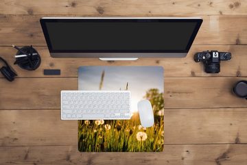 MuchoWow Gaming Mauspad Löwenzahn - Gras - Sonnenuntergang (1-St), Mousepad mit Rutschfester Unterseite, Gaming, 40x40 cm, XXL, Großes