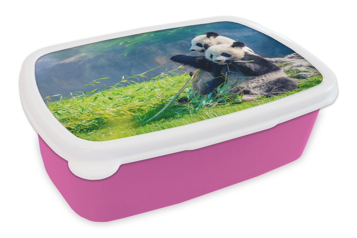 - - Mädchen, rosa Brotbox Erwachsene, (2-tlg), für Kinder, Kunststoff, Snackbox, MuchoWow Brotdose Bambus Gras - Panda Lunchbox Kunststoff Tiere,