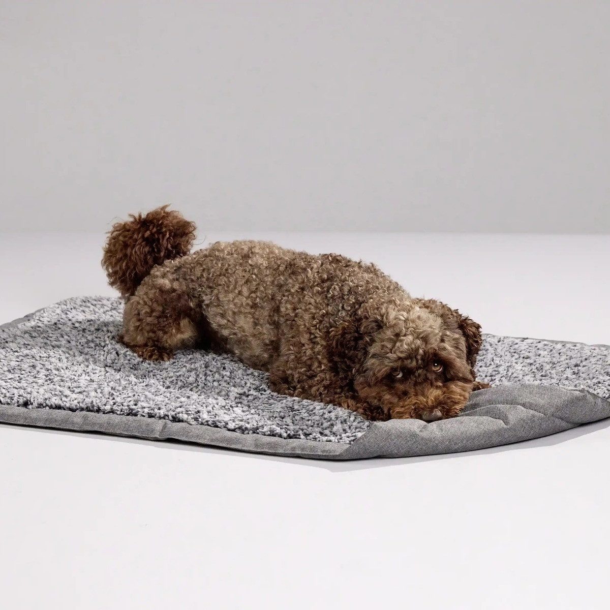 Wolters Tierdecke Sweet Dreams Sofadecke salt/pepper