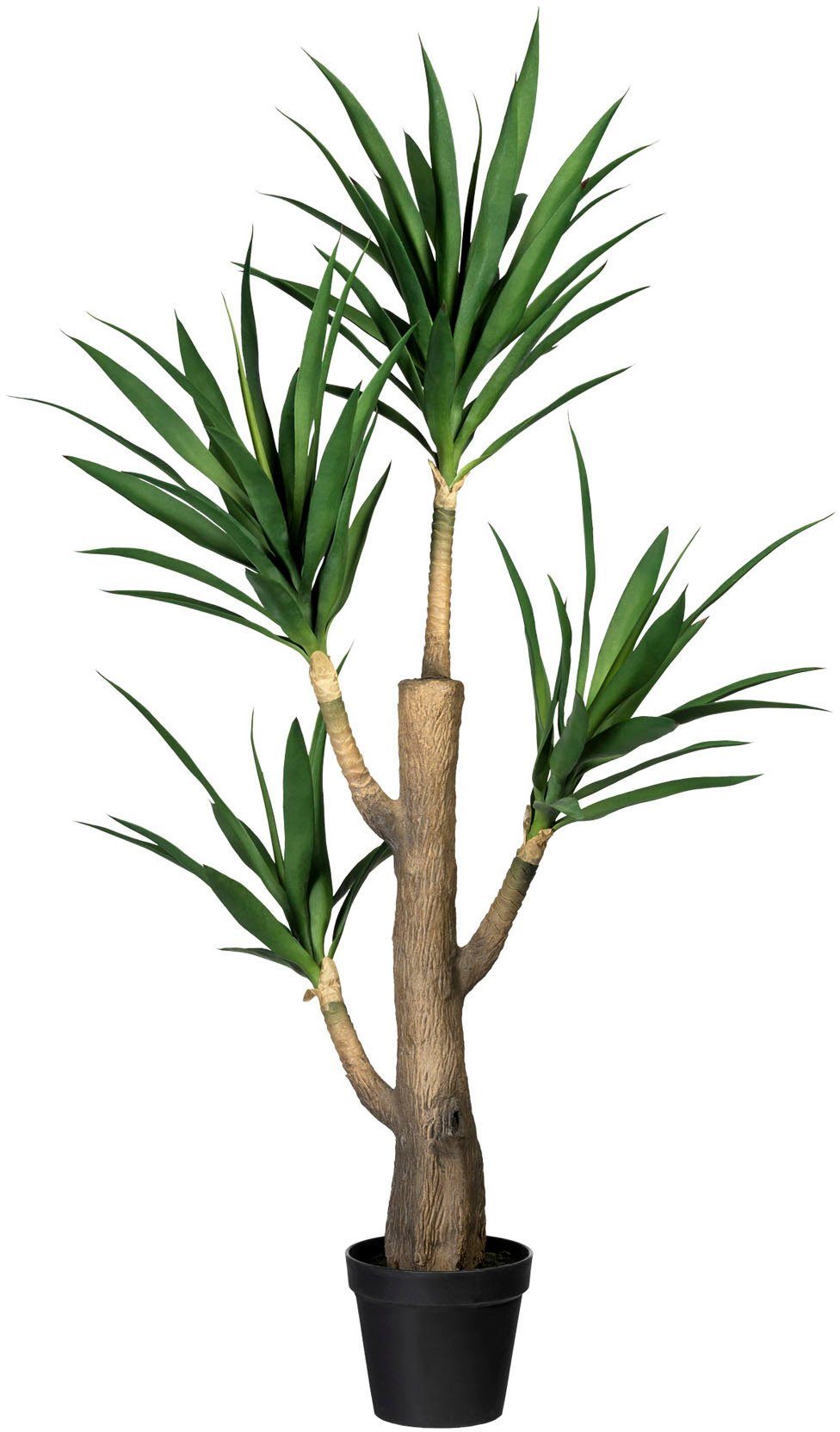 Künstliche Zimmerpflanze Dracaena fragans Dracaena fragans, Creativ green,  Höhe 160 cm, im Zementtopf