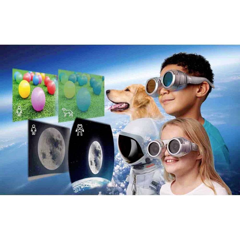 Brainstorm Lernspielzeug Lernpaket 362052 günstig online kaufen