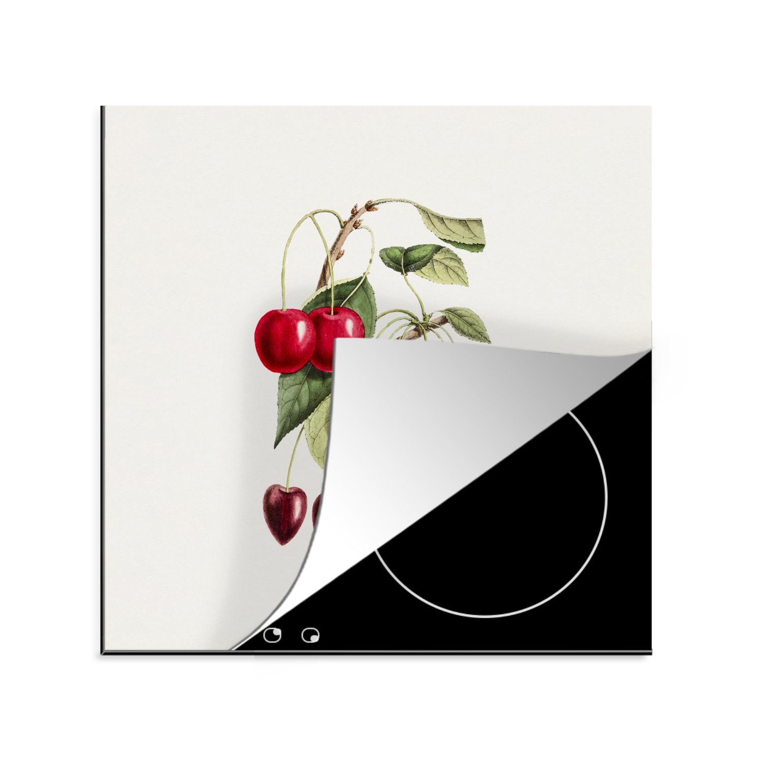 MuchoWow Herdblende-/Abdeckplatte für Ceranfeldabdeckung, 78x78 - (1 - Jahrgang, Vinyl, Arbeitsplatte tlg), küche cm, Obst Kirschen