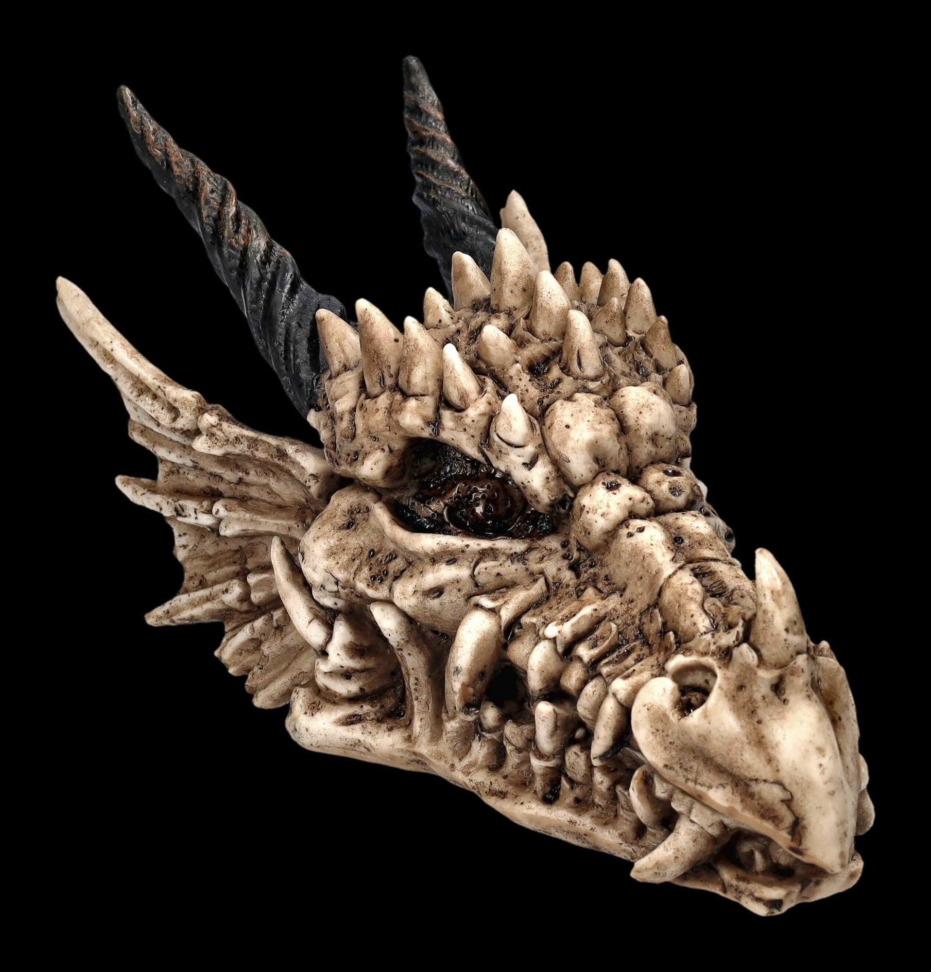 Figuren Shop GmbH Aufbewahrungsdose Schatulle - Drachen Totenschädel - Fantasy Dekofigur Aufbewahrung