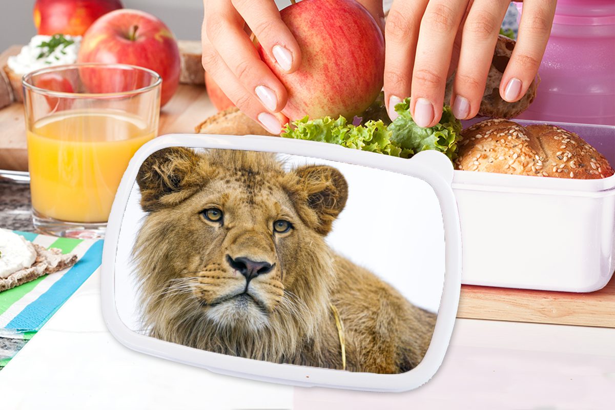 MuchoWow Lunchbox Löwe für Erwachsene, - Brotdose, und (2-tlg), für Mädchen und Brotbox Porträt, Jungs Kinder - Kunststoff, Weiß