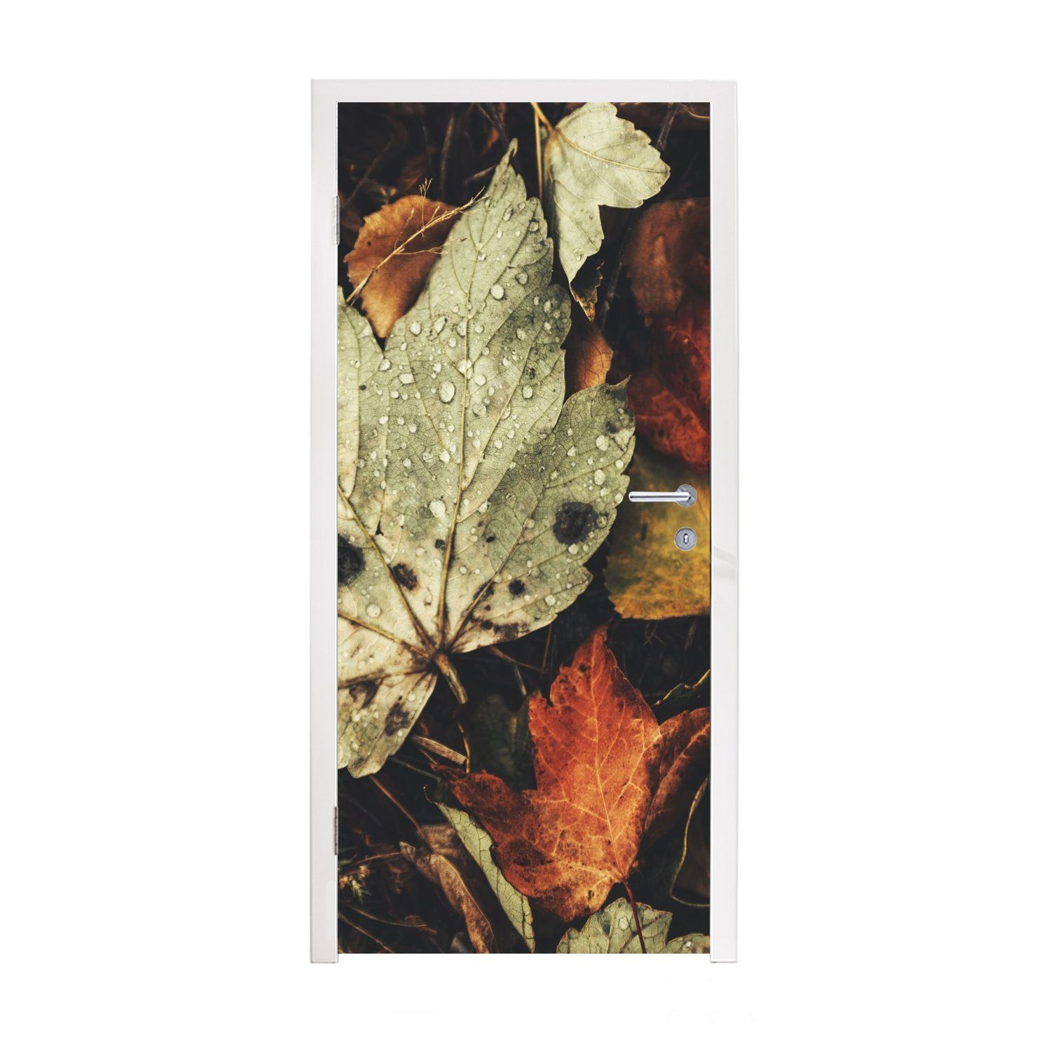 Matt, für Natur, (1 Tür, Türtapete - - bedruckt, - Jahreszeiten St), 75x205 Fototapete MuchoWow cm Herbstblätter Herbst Türaufkleber,