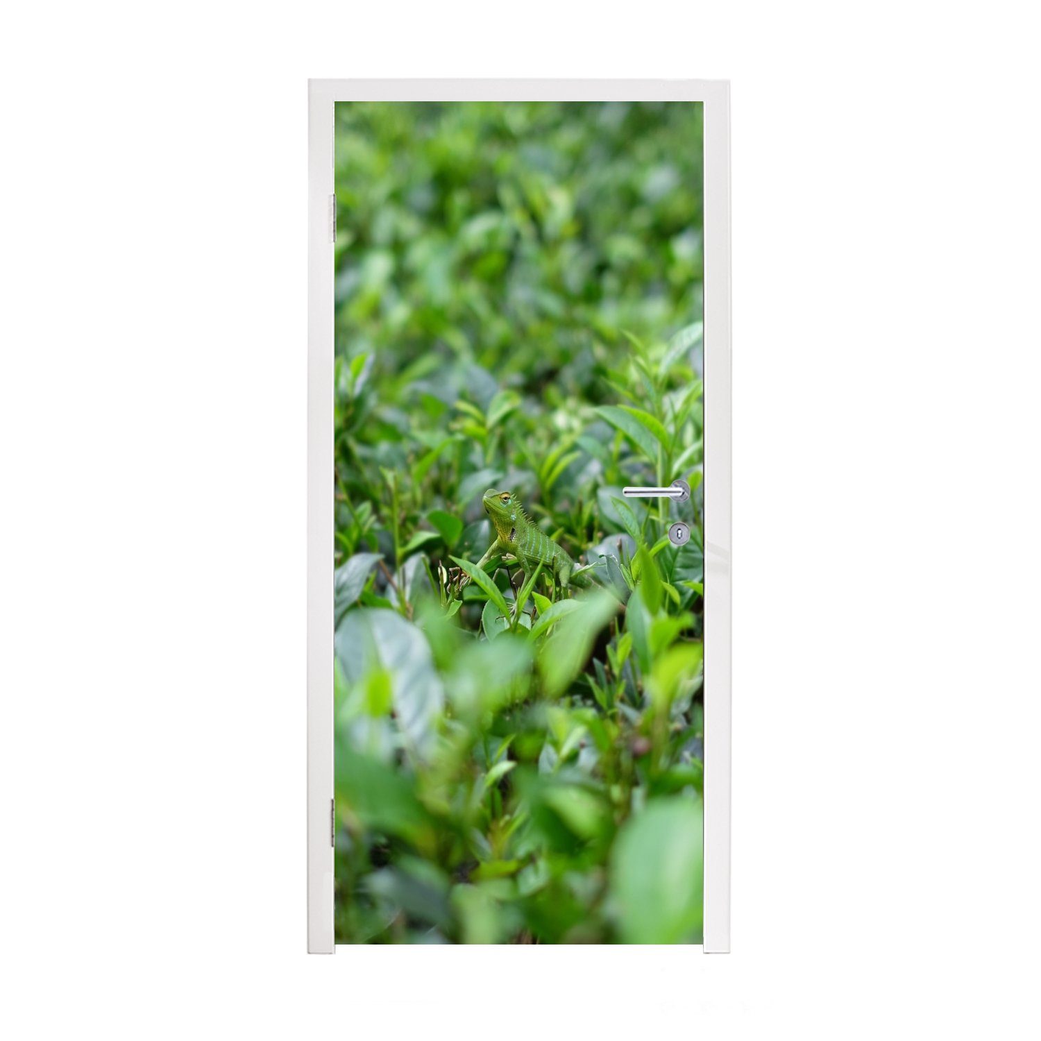 MuchoWow Türtapete Grünpflanzen auf tropischem Boden, Matt, bedruckt, (1 St), Fototapete für Tür, Türaufkleber, 75x205 cm