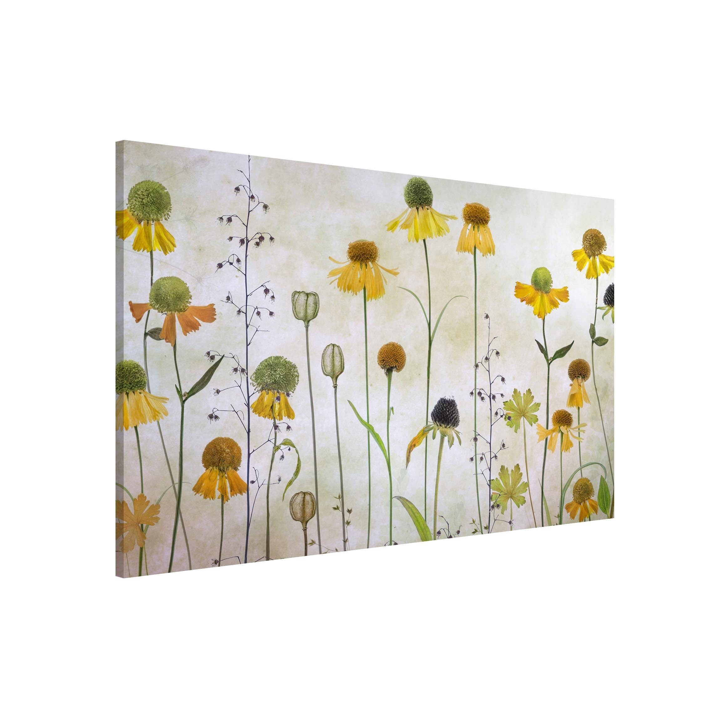 Bilderdepot24 Magnettafel Küche gelb Zarte Helenium Blüten, (1-tlg., Magnetboard Pinnwand für die Wand - metallische Tafel für Magnete), Magnetwand groß mit Motiv Büro Memoboard magnetisch Querformat