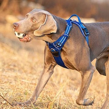 HEYHIPPO Autohundegeschirr Verstellbares Hundegeschirr mit einfach zu bedienendem Griff, Fehlschlag 43-56CM