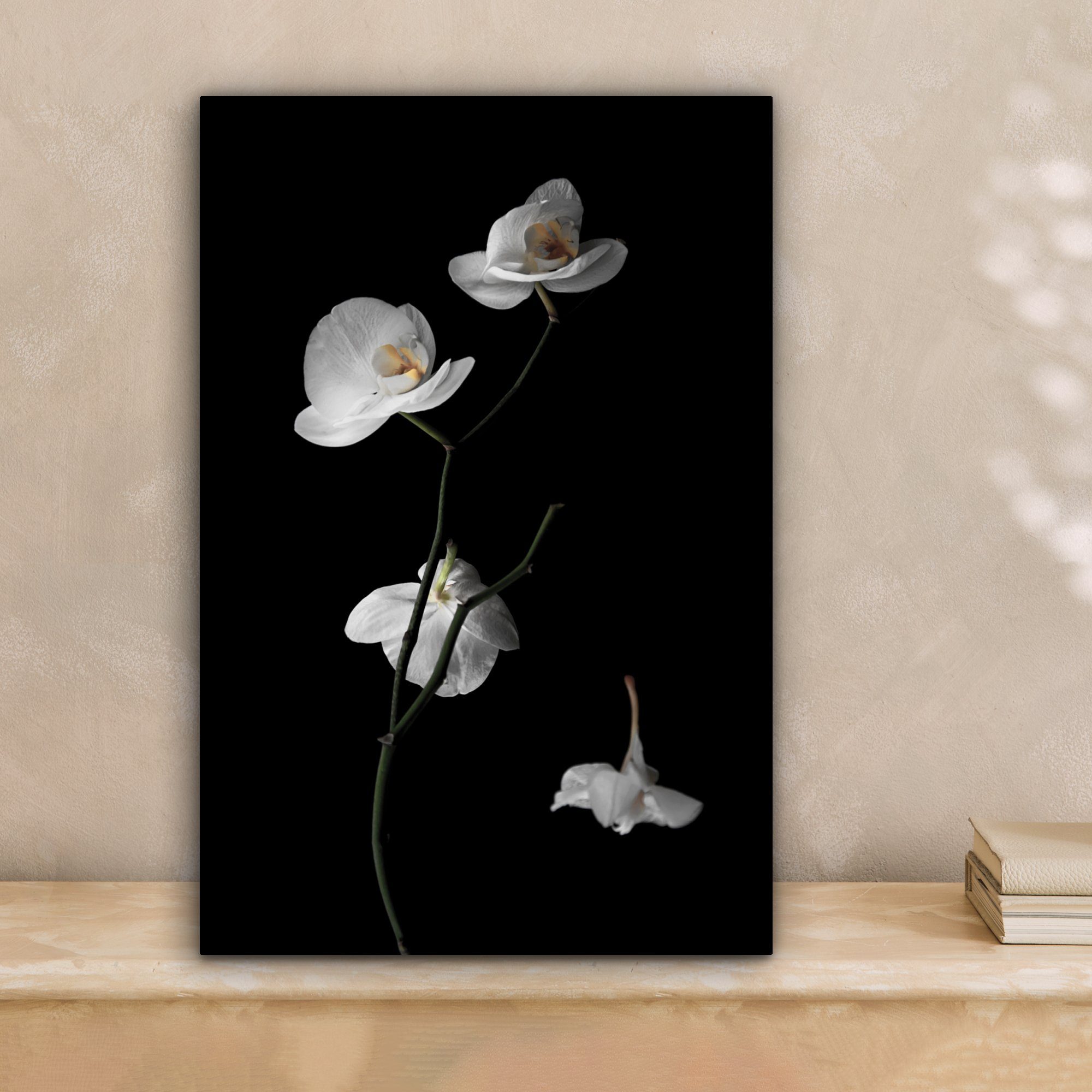 OneMillionCanvasses® Leinwandbild Orchidee - Blumen - Schwarz - Weiß - Stil günstig online kaufen