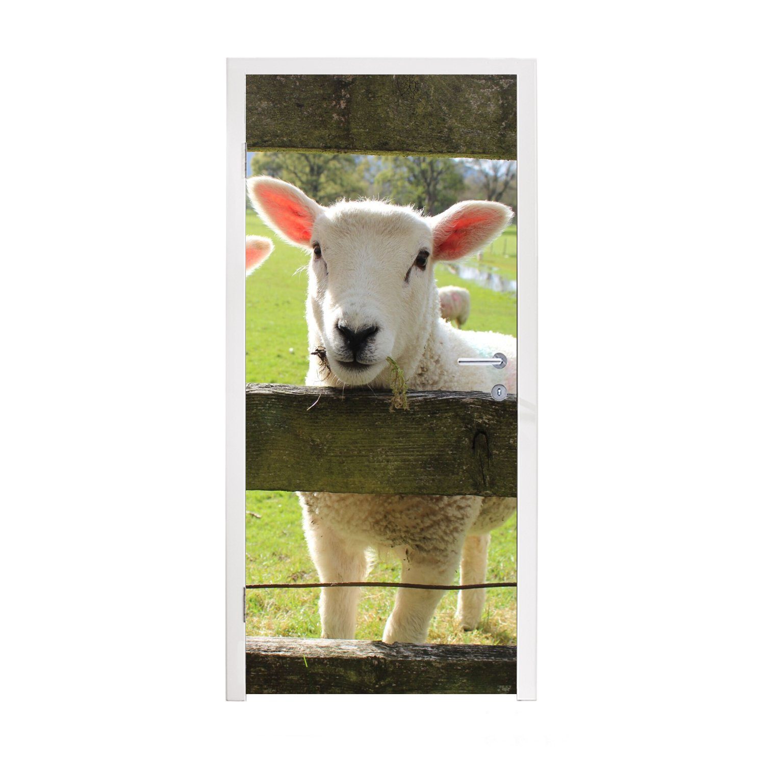 MuchoWow Türtapete Schafe - Tiere - Bauernhof, Matt, bedruckt, (1 St), Fototapete für Tür, Türaufkleber, 75x205 cm