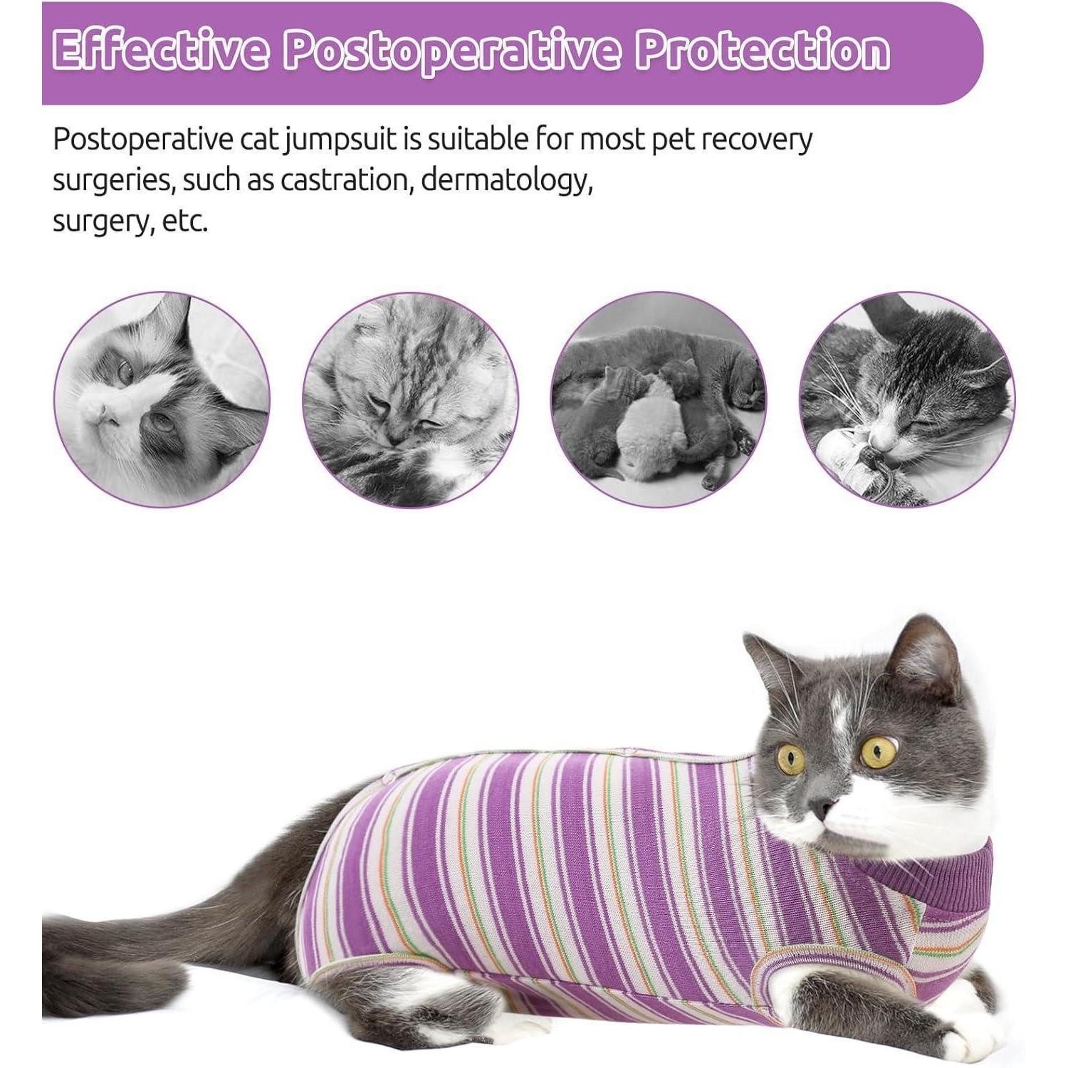 LuxusKollektion Schutzkragen Katzenbody postoperativ Erholungsanzug EHalsband XS Lila