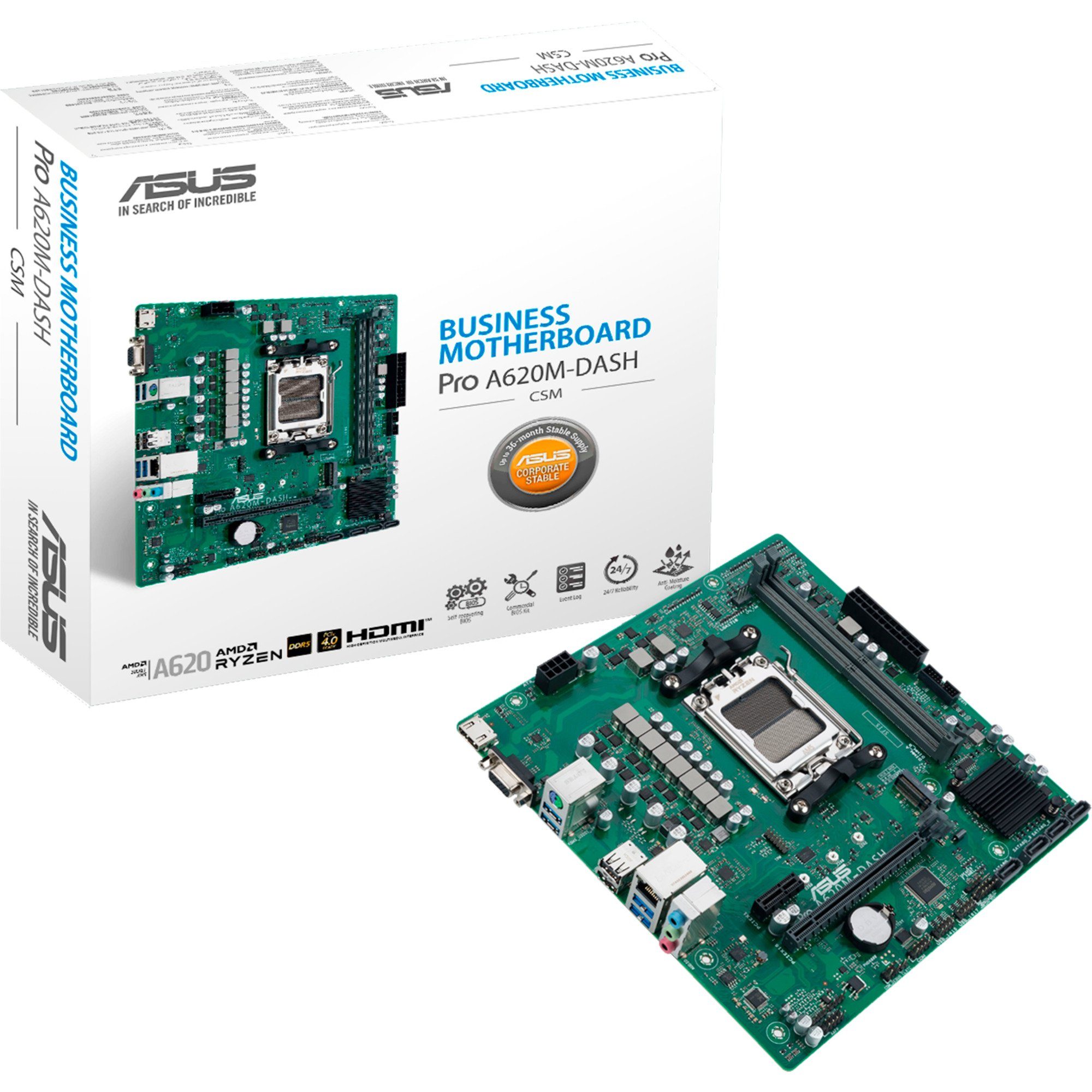 Asus ASUS PRO A620M-DASH-CSM, Mainboard Mainboard