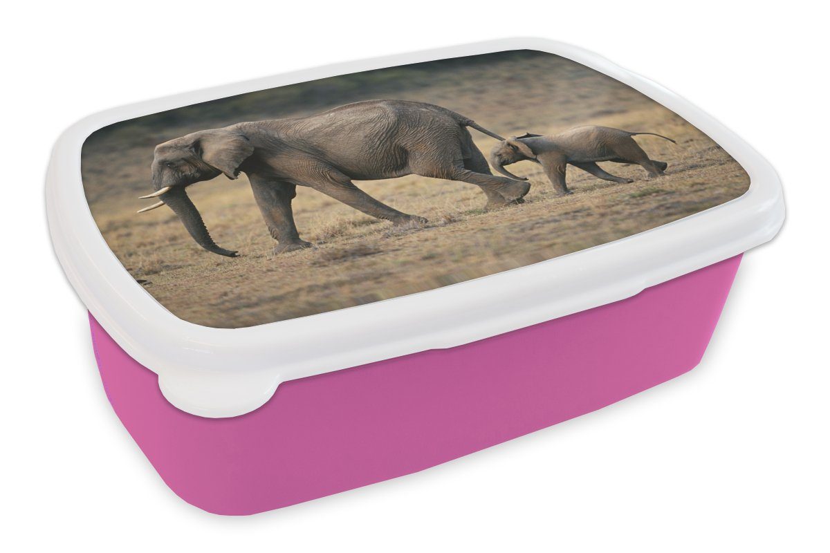 MuchoWow Lunchbox Elefant - Tiere - Savanne - Natur, Kunststoff, (2-tlg), Brotbox für Erwachsene, Brotdose Kinder, Snackbox, Mädchen, Kunststoff rosa