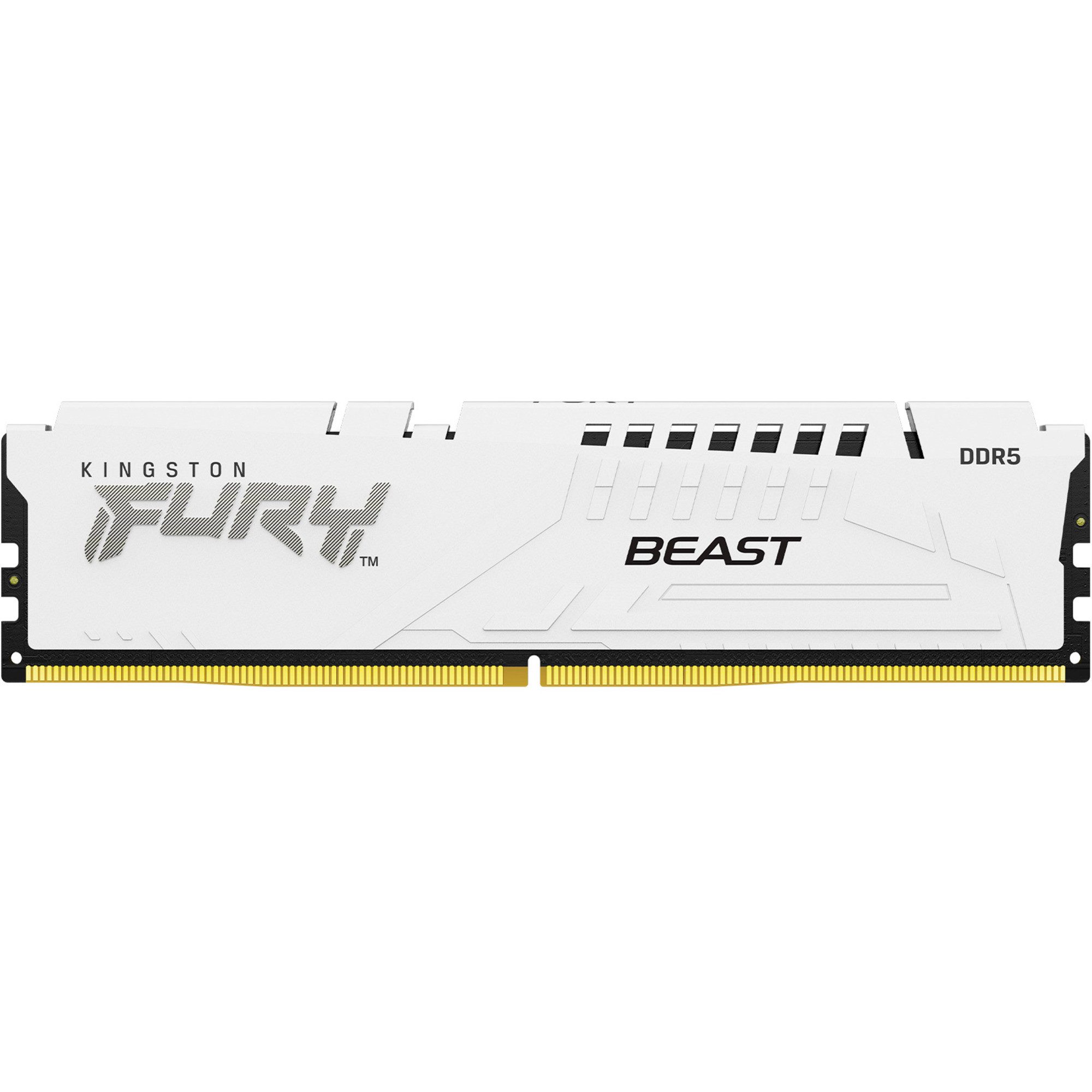 Kingston Kingston FURY DIMM 16 GB DDR5-6000, Arbeitsspeicher
