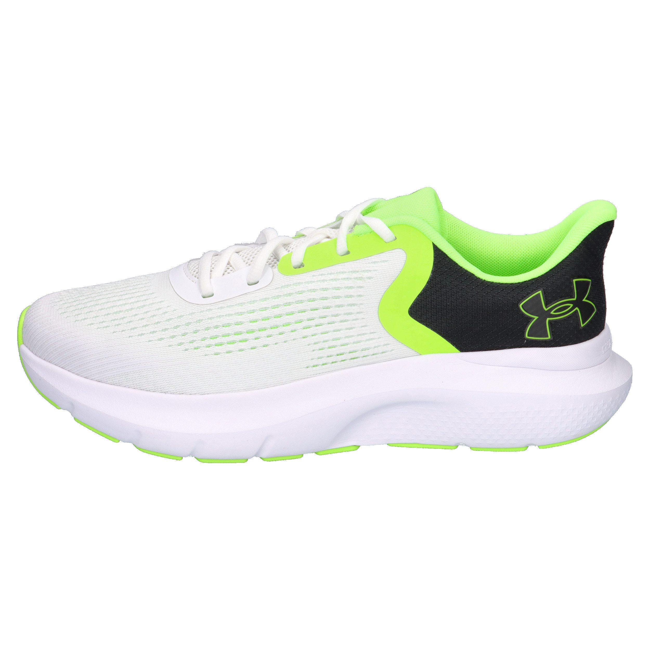 Under Armour® Under Armour Herren Laufschuhe UA Charged Rogue 5 3028256 Laufschuh