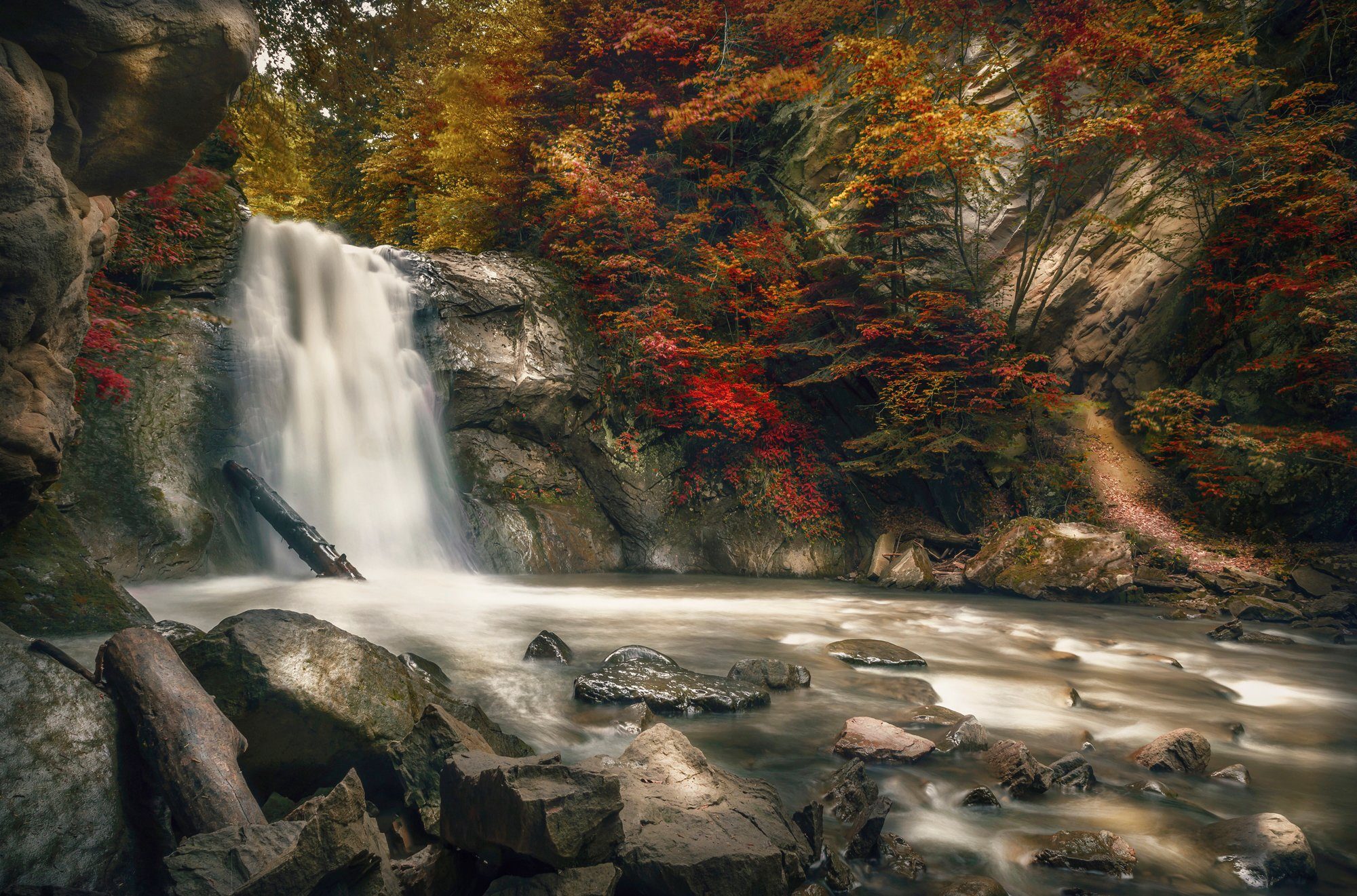 MEER Papermoon INSEL WALD STEINE FLUSS WASSERFALL-HERBST BÄUME Fototapete