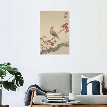 Posterlounge Poster Ohara Koson, Japanischer Seidenschwanz auf Ahorn, ca. 1900, Malerei