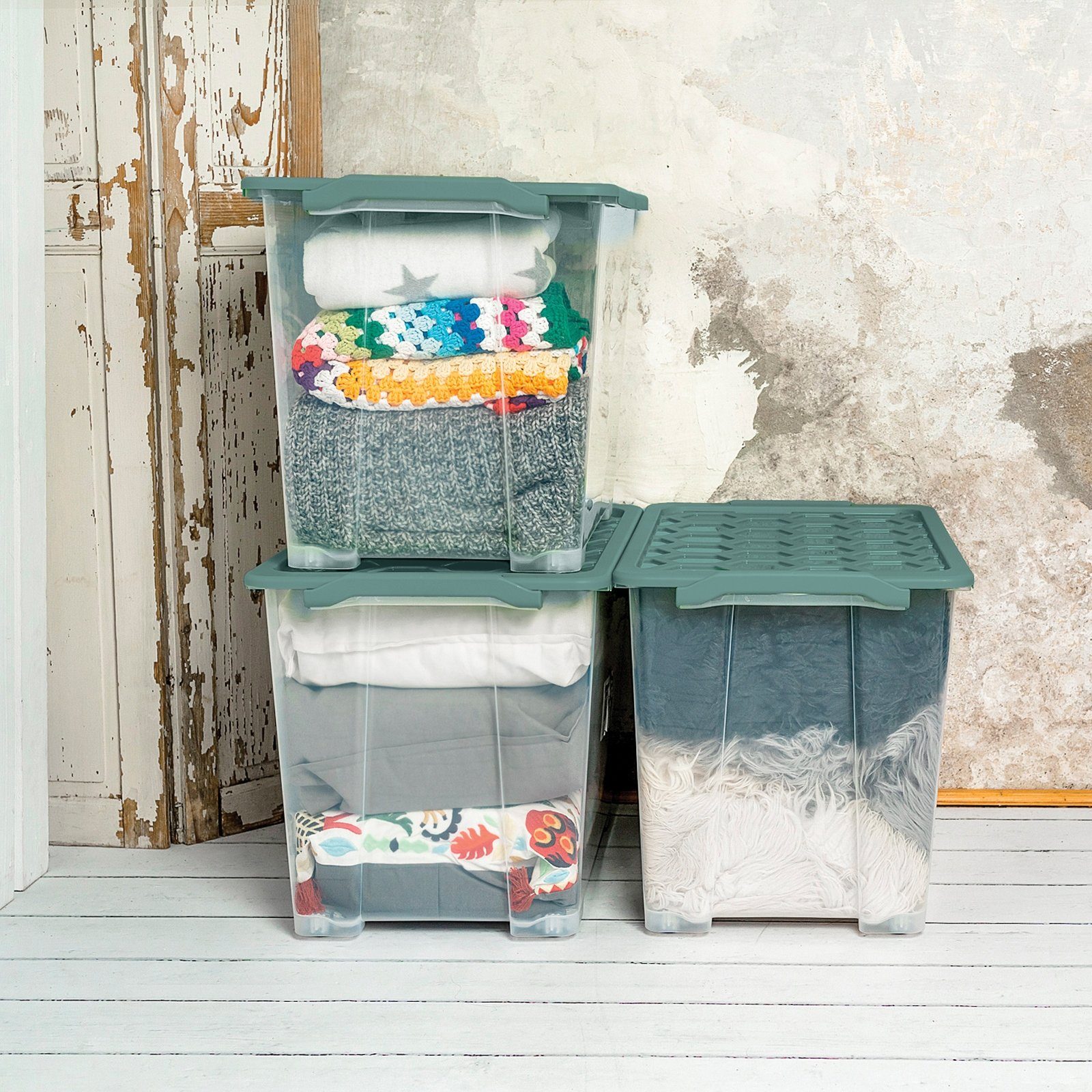 ROTHO Aufbewahrungsbox Evo Safe Keeping 3er-Set günstig online kaufen